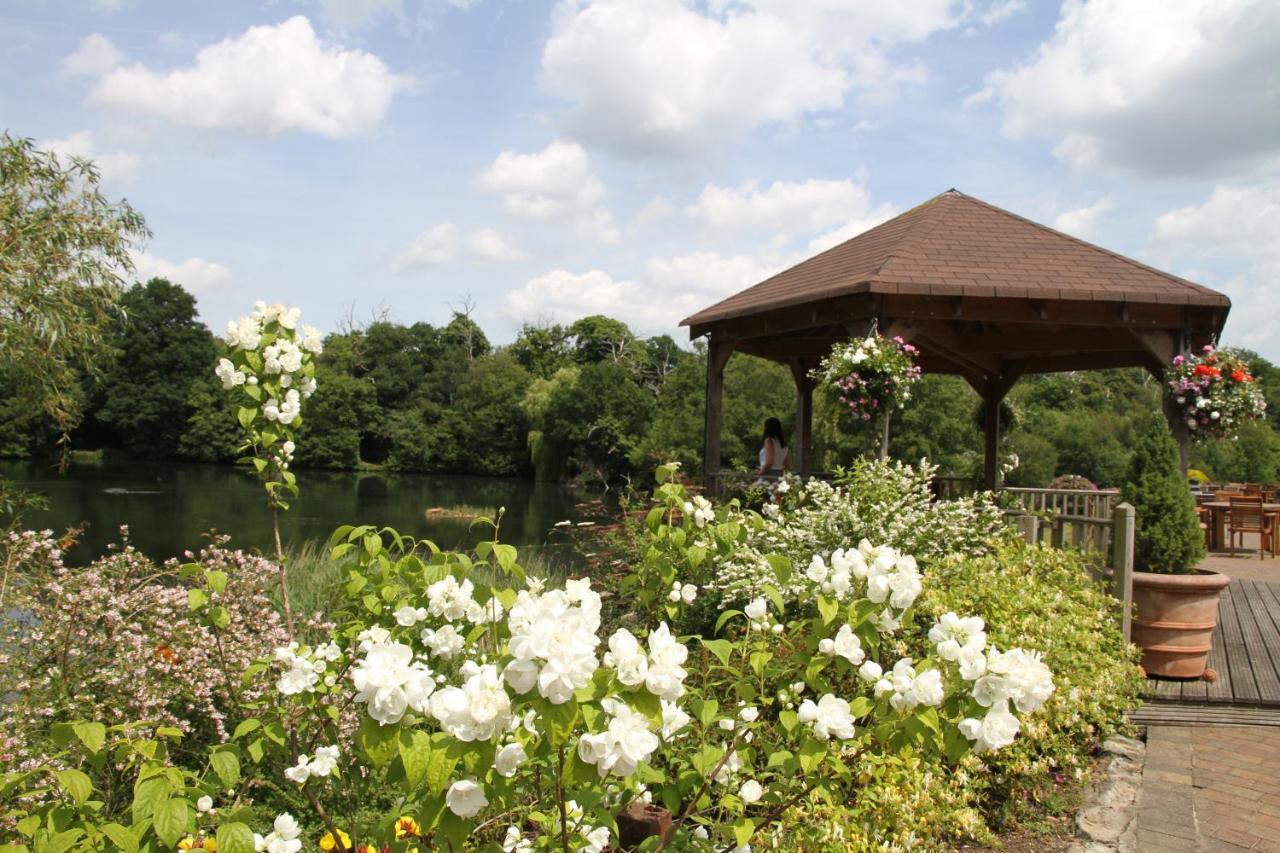 جرافسيند Inn On The Lake المظهر الخارجي الصورة